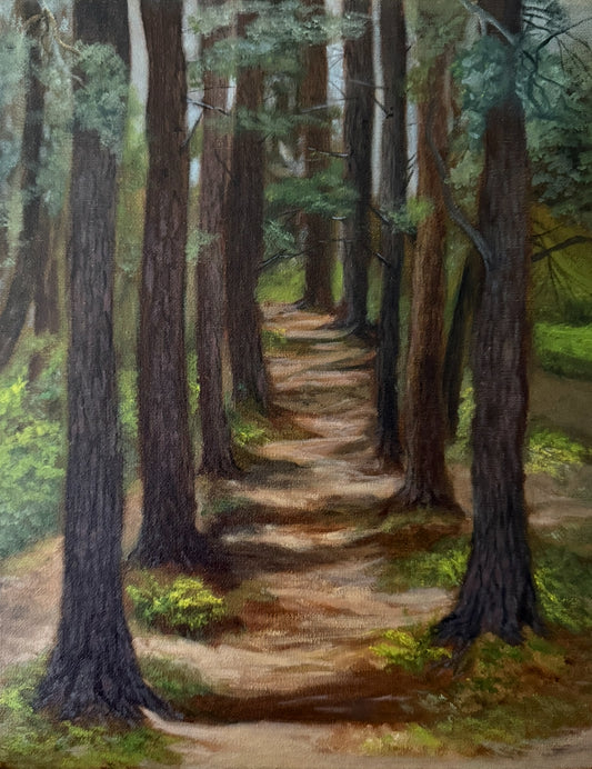 "Mystic Trail"